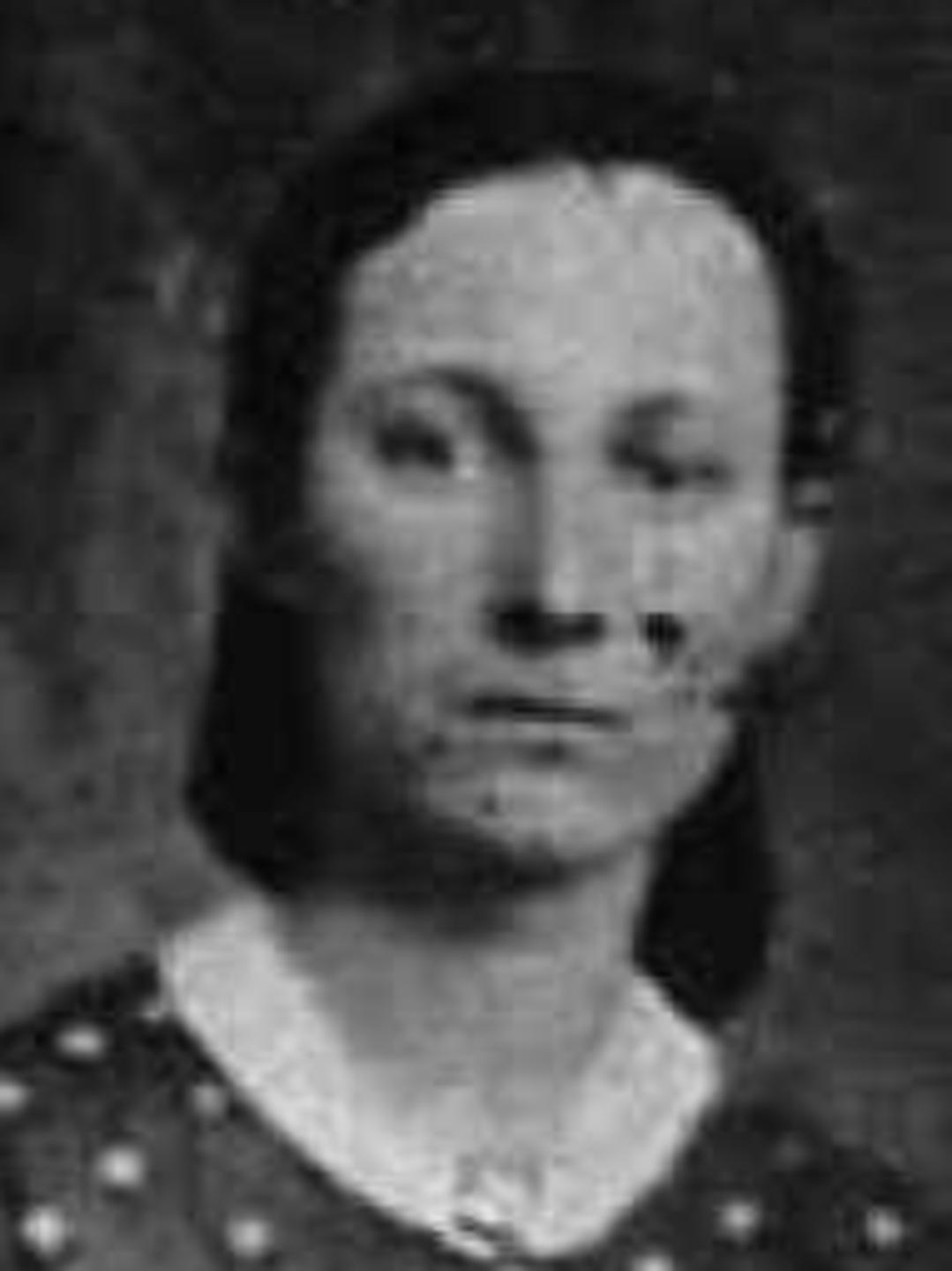 Druzila Emaline Allred (1848 - 1868) Profile